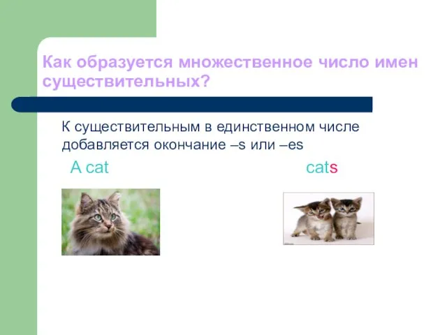 Как образуется множественное число имен существительных? К существительным в единственном числе добавляется