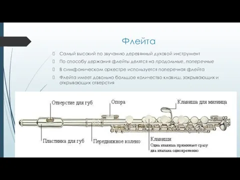 Флейта Самый высокий по звучанию деревянный духовой инструмент По способу держания флейты