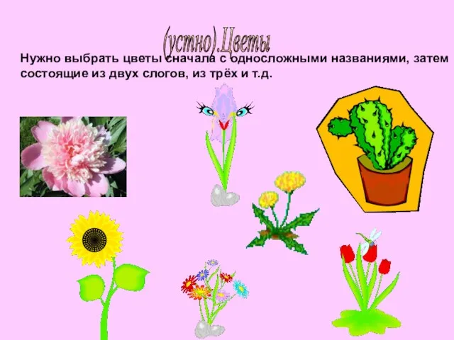 (устно).Цветы Нужно выбрать цветы сначала с односложными названиями, затем состоящие из двух