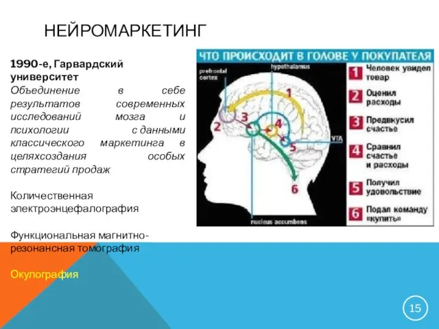 НЕЙРОМАРКЕТИНГ 1990-е, Гарвардский университет Объединение в себе результатов современных исследований мозга и