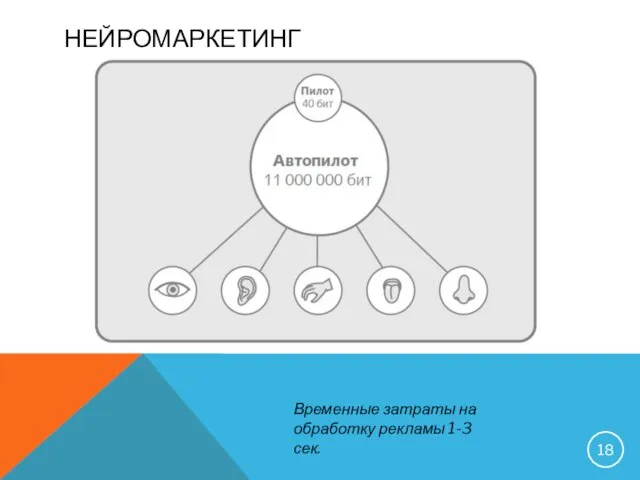 НЕЙРОМАРКЕТИНГ Временные затраты на обработку рекламы 1-3 сек.