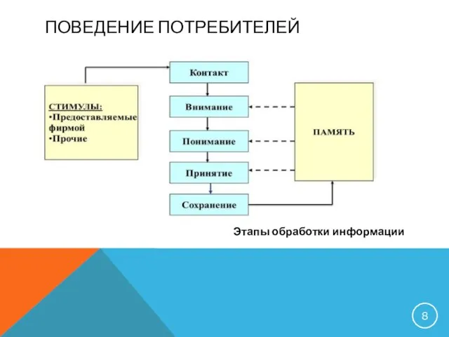 ПОВЕДЕНИЕ ПОТРЕБИТЕЛЕЙ Этапы обработки информации