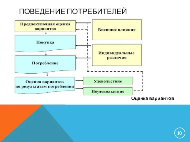 ПОВЕДЕНИЕ ПОТРЕБИТЕЛЕЙ Оценка вариантов