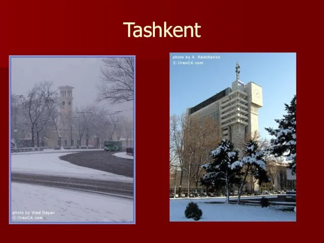 Tashkent