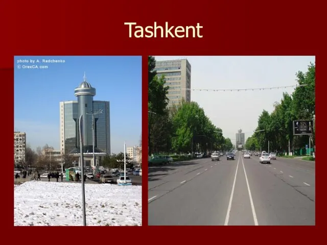 Tashkent