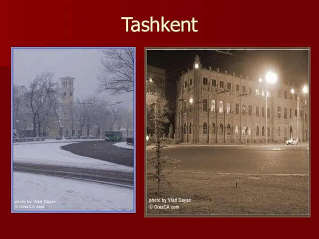 Tashkent