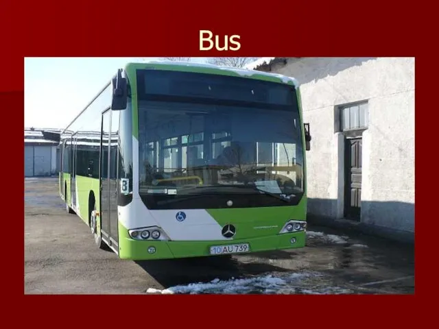 Bus