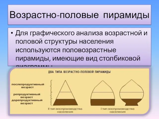 Возрастно-половые пирамиды Для графического анализа возрастной и половой структуры населения используются половозрастные