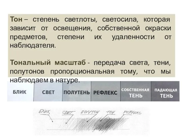 Тон – степень светлоты, светосила, которая зависит от освещения, собственной окраски предметов,