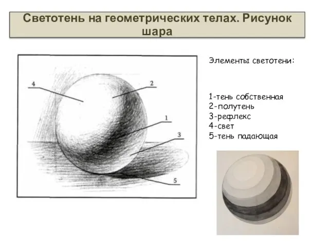 1-тень собственная 2-полутень 3-рефлекс 4-свет 5-тень падающая Элементы светотени: Светотень на геометрических телах. Рисунок шара