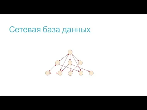 Сетевая база данных