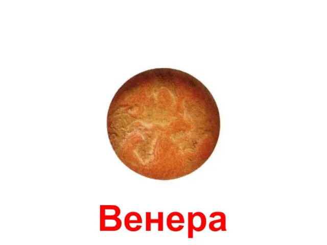 Венера Венера.