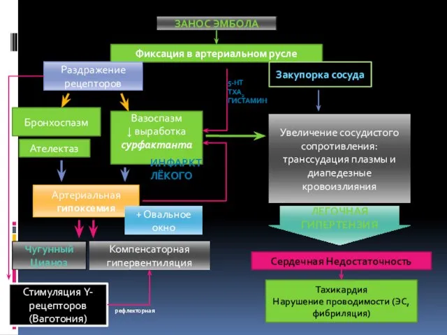 ЗАНОС ЭМБОЛА Фиксация в артериальном русле Раздражение рецепторов Бронхоспазм Вазоспазм ↓ выработка