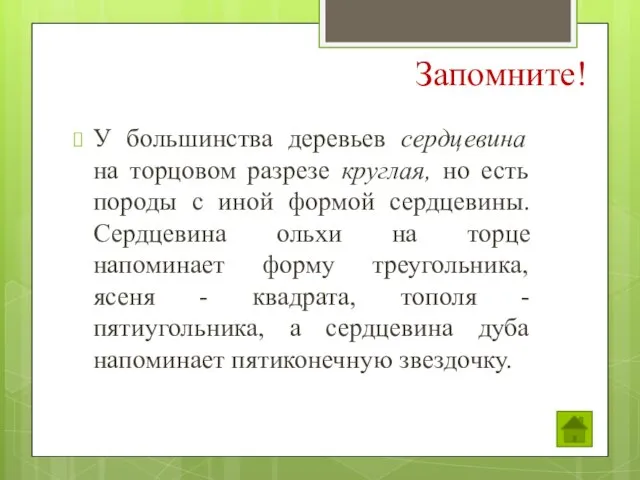 У большинства деревьев сердцевина на торцовом разрезе круглая, но есть породы с