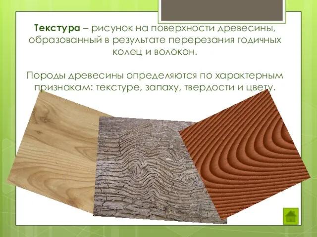 Текстура – рисунок на поверхности древесины, образованный в результате перерезания годичных колец