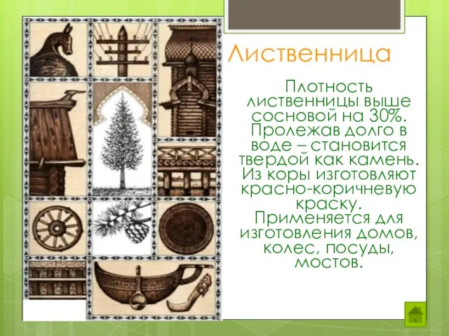 Лиственница Плотность лиственницы выше сосновой на 30%. Пролежав долго в воде –