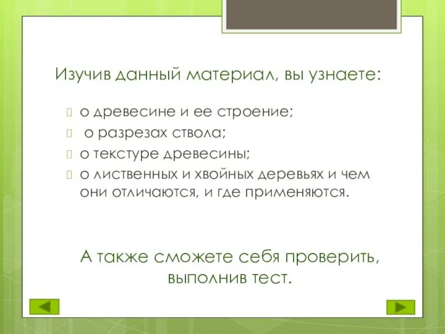 Изучив данный материал, вы узнаете: о древесине и ее строение; о разрезах