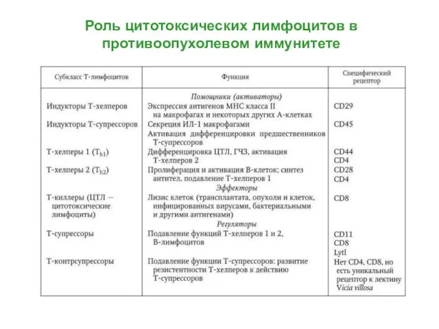 Роль цитотоксических лимфоцитов в противоопухолевом иммунитете