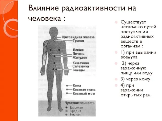 Влияние радиоактивности на человека : Существует несколько путей поступления радиоактивных веществ в