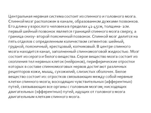 Центральная нервная система состоит из спинного и головного мозга. Спинной мозг расположен