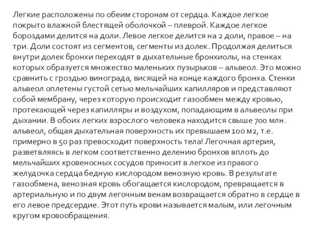 Легкие расположены по обеим сторонам от сердца. Каждое легкое покрыто влажной блестящей