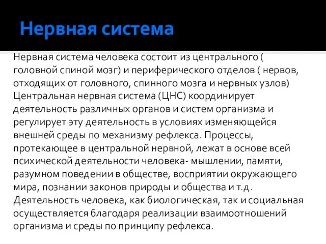 Нервная система Нервная система человека состоит из центрального ( головной спиной мозг)