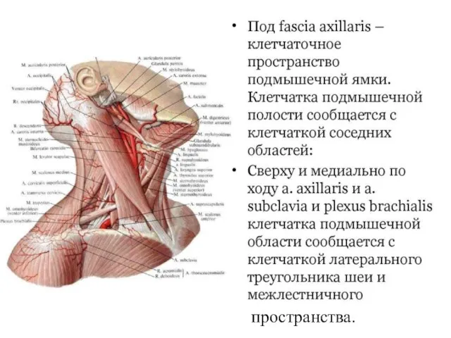 пространства.