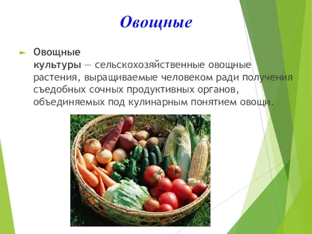 Овощные Овощные культуры — сельскохозяйственные овощные растения, выращиваемые человеком ради получения съедобных