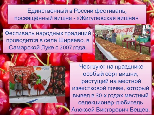 Единственный в России фестиваль, посвящённый вишне - «Жигулевская вишня». Фестиваль народных традиций