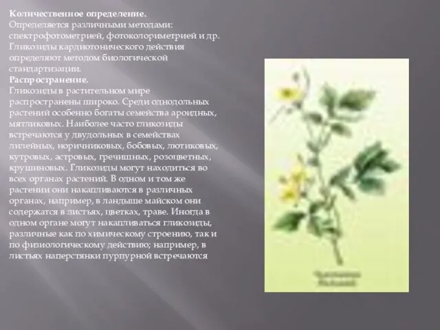 Количественное определение. Определяется различными методами: спектрофотометрией, фотоколориметрией и др. Гликозиды кардиотонического действия