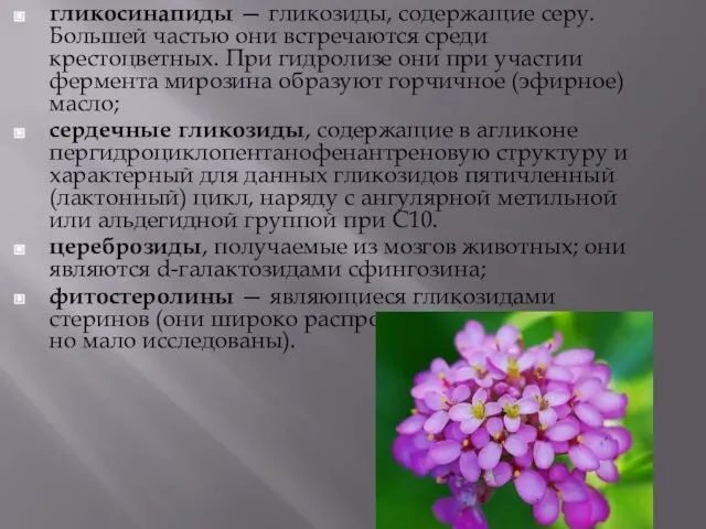 гликосинапиды — гликозиды, содержащие серу. Большей частью они встречаются среди крестоцветных. При