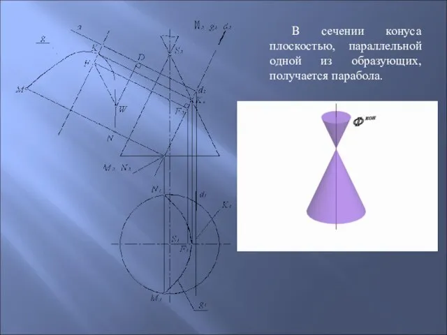 В сечении конуса плоскостью, параллельной одной из образующих, получается парабола.