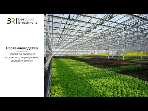Растениеводство Проект по созданию эко-теплиц, выращиванию овощей и зелени.