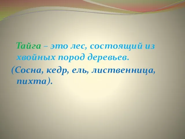 Тайга – это лес, состоящий из хвойных пород деревьев. (Сосна, кедр, ель, лиственница, пихта).