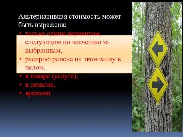 Альтернативная стоимость может быть выражена: только одним вариантом, следующим по значению за