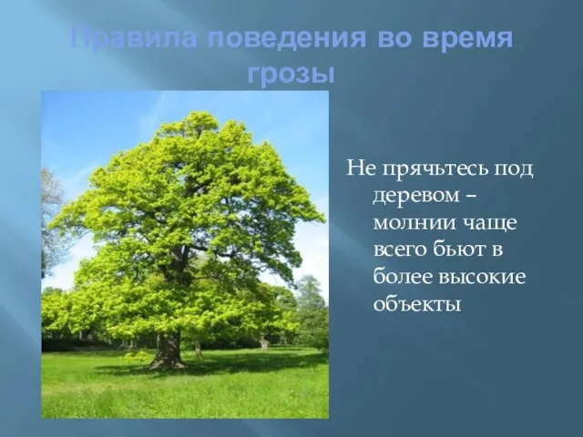 Правила поведения во время грозы Не прячьтесь под деревом – молнии чаще