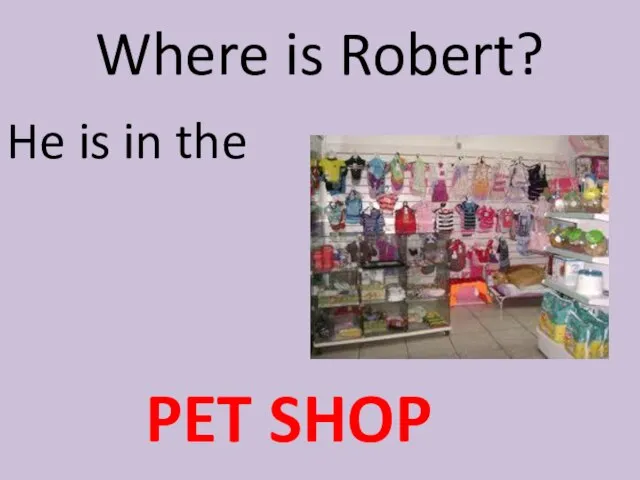 Where is Robert? He is in the PET SHOP