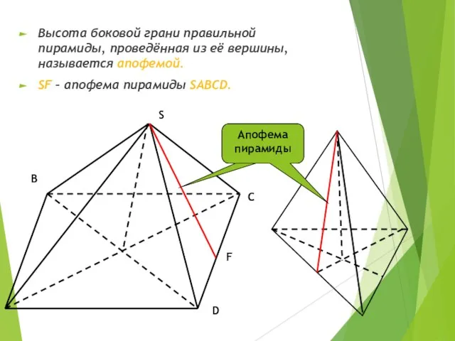 Высота боковой грани правильной пирамиды, проведённая из её вершины, называется апофемой. SF