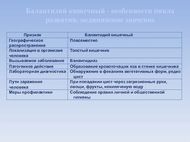 Балантидий кишечный - особенности цикла развития, медицинское значение