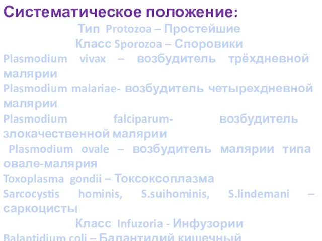 Систематическое положение: Тип Protozoa – Простейшие Класс Sporozoa – Споровики Plasmodium vivax