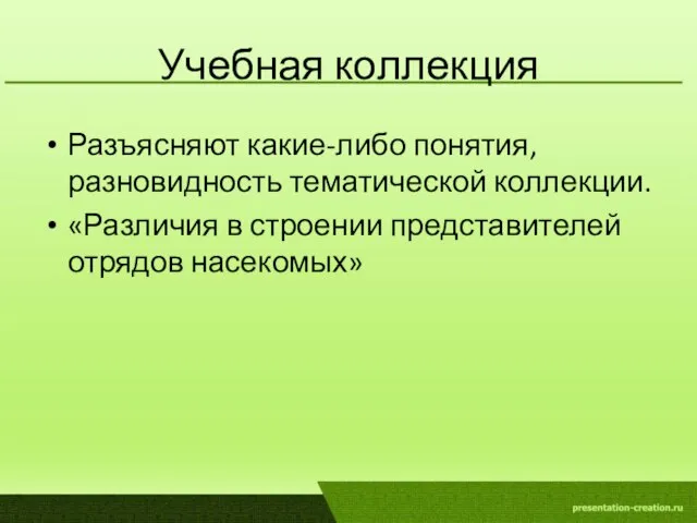 Учебная коллекция Разъясняют какие-либо понятия, разновидность тематической коллекции. «Различия в строении представителей отрядов насекомых»