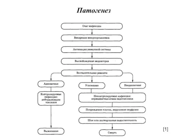 Патогенез [1]