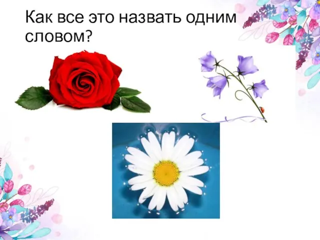 Как все это назвать одним словом?