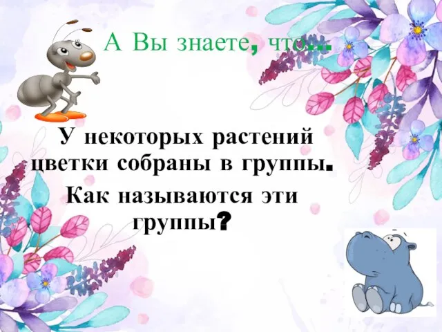 У некоторых растений цветки собраны в группы. Как называются эти группы? А Вы знаете, что...