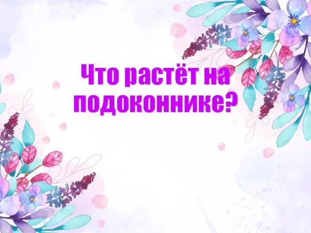 Что растёт на подоконнике?