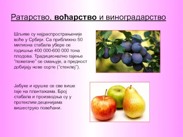 Ратарство, воћарство и виноградарство Шљиве су најраспрострањеније воће у Србији. Са приближно