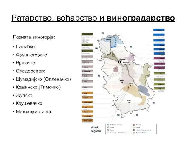 Ратарство, воћарство и виноградарство Позната виногорја: Палићко Фрушкогорско Вршачко Смедеревско Шумадијско (Опленачко)