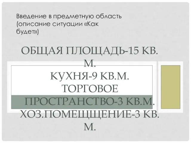 Введение в предметную область (описание ситуации «Как будет») ОБЩАЯ ПЛОЩАДЬ-15 КВ.М. КУХНЯ-9