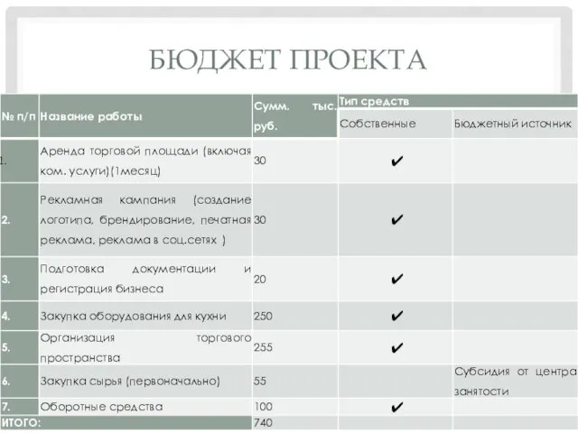 БЮДЖЕТ ПРОЕКТА