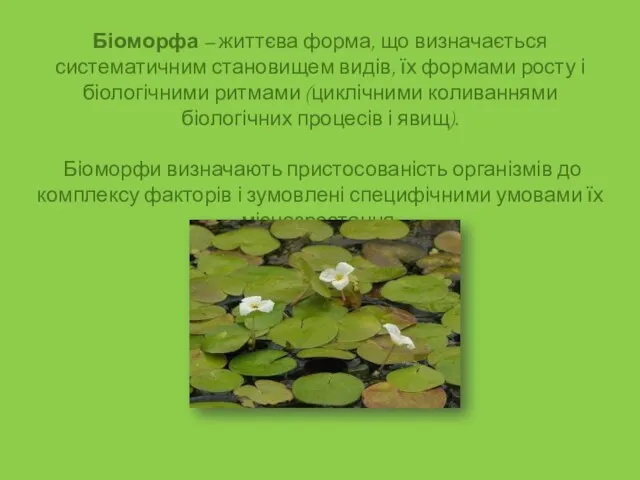 Біоморфа – життєва форма, що визначається систематичним становищем видів, їх формами росту